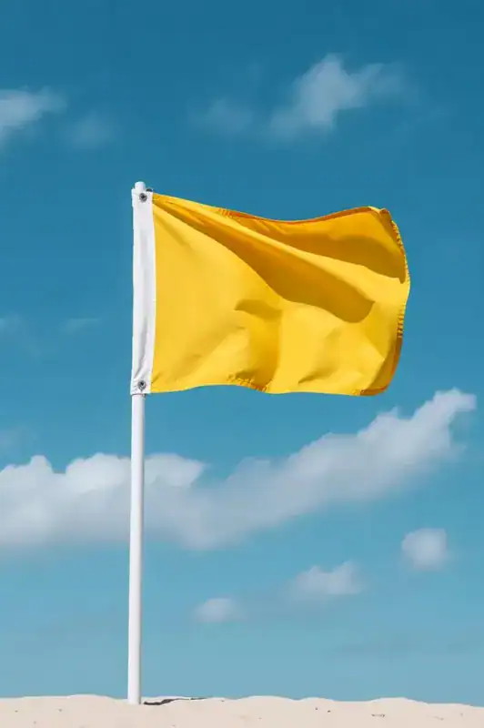 Beach Flag