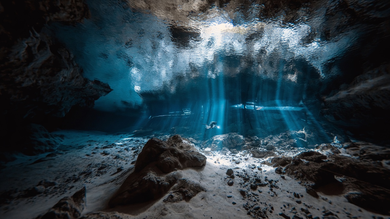 Featured photographer's shot